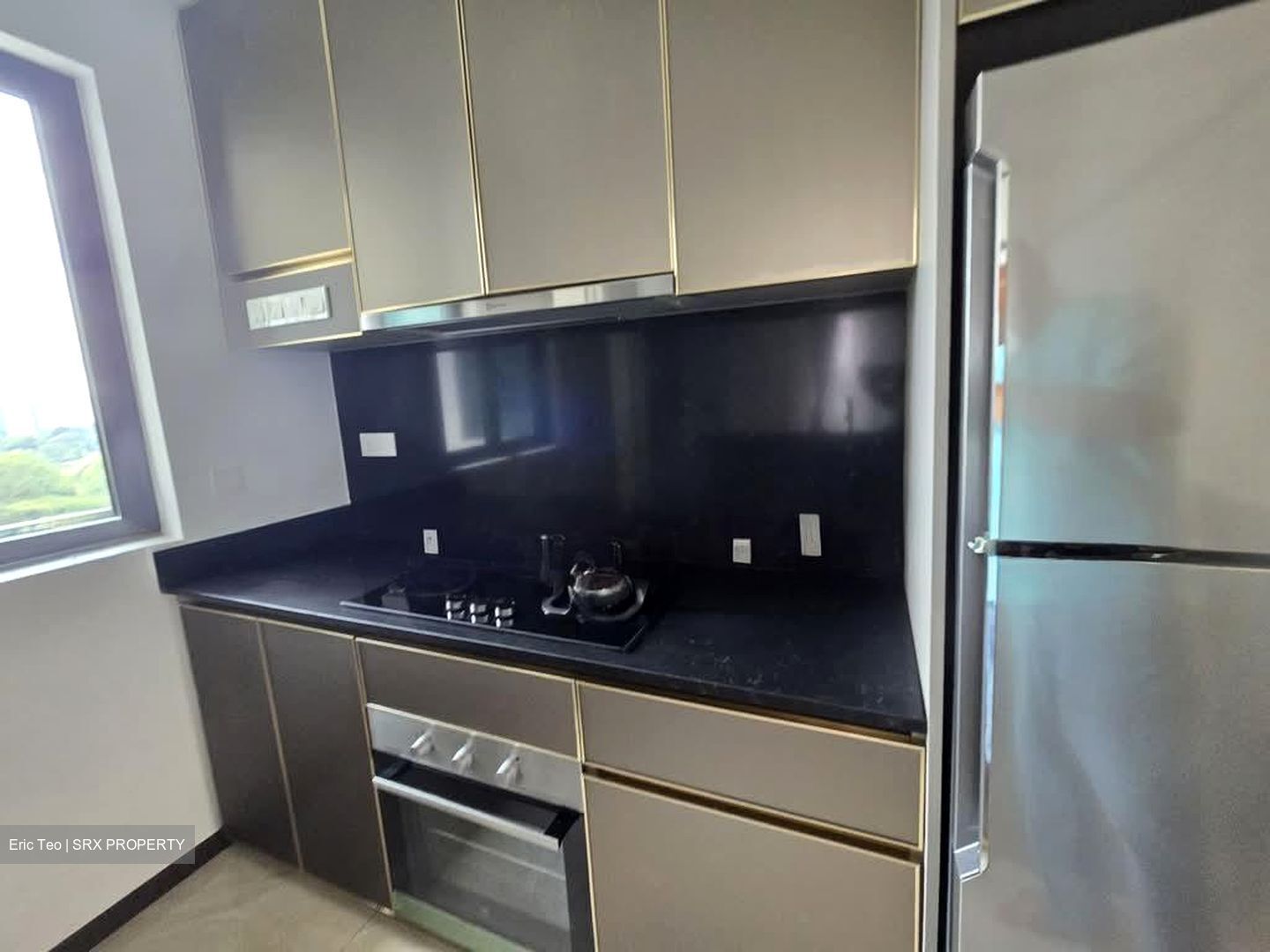 Normanton Park (D5), Apartment #575746891